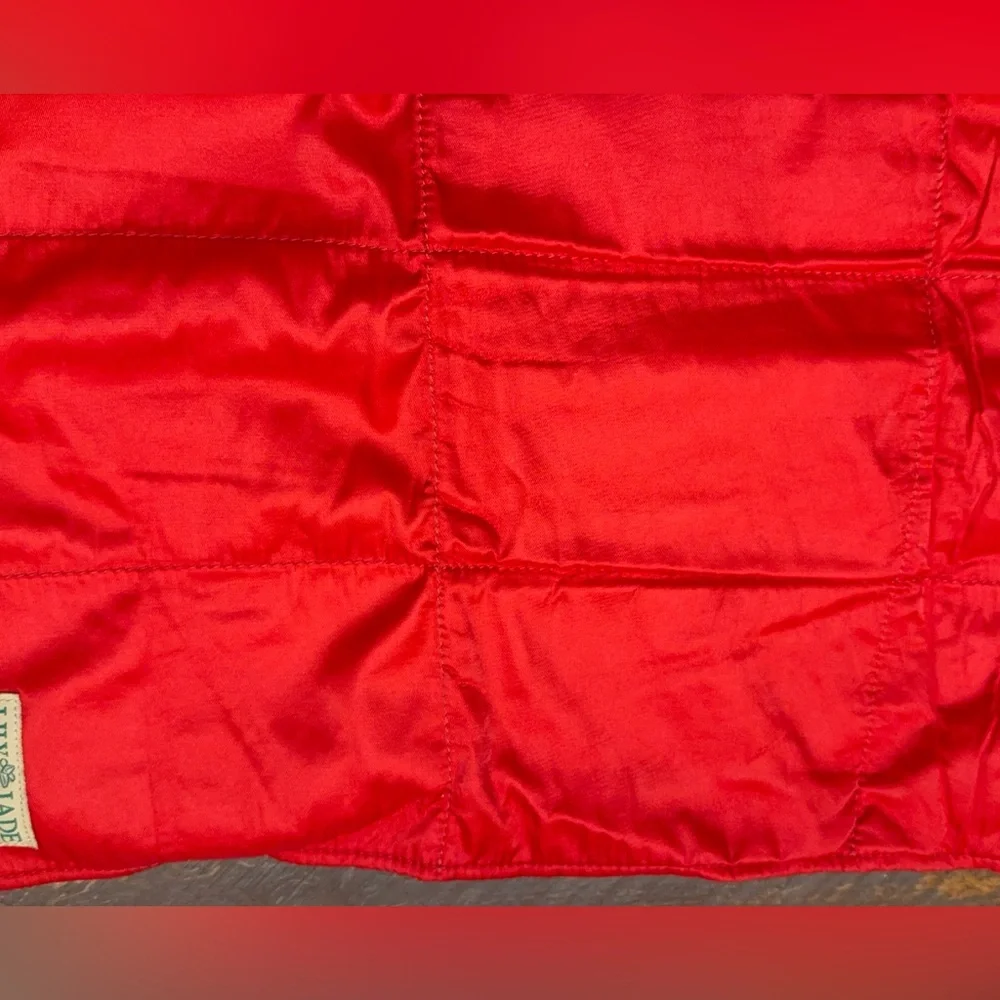 Lily Jade Shaylee Diaper Bag Red replacement Insert Travel Changing Pad GUC!